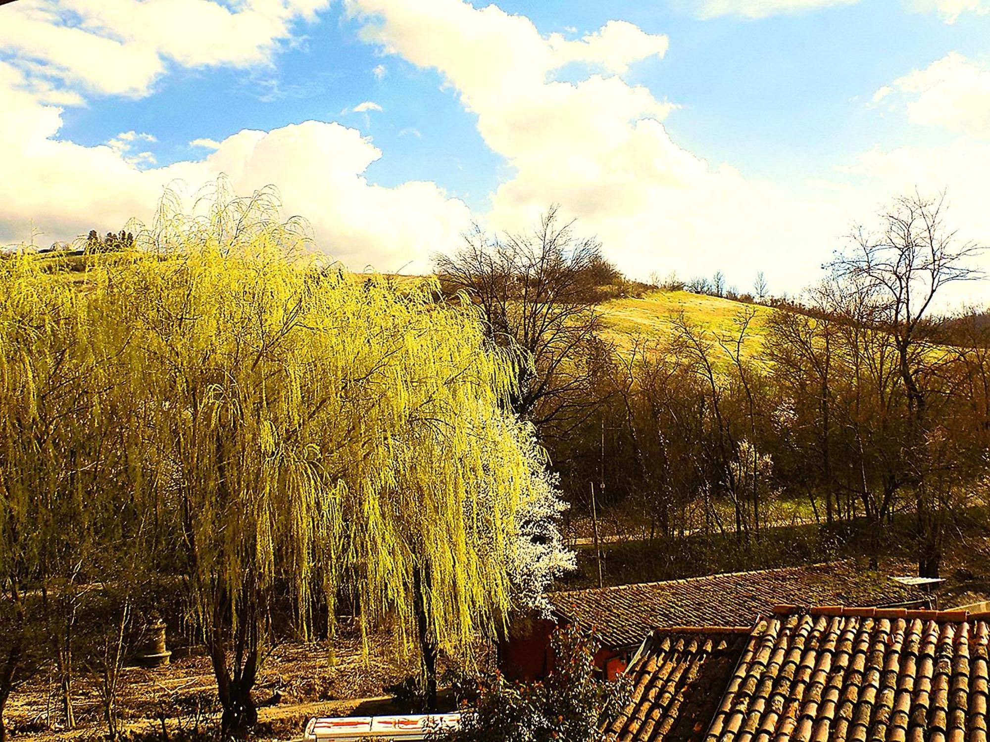 Villa Relais Ca Del Rio Botteghino di Zocca Exterior foto